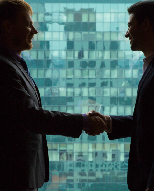 Business partners shaking hands